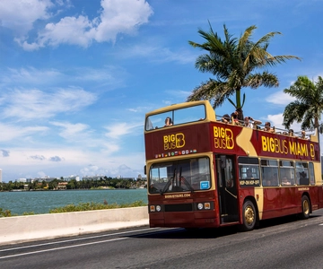 Miami: Everglades Experience, Bay Cruise & Open-top Bus Tour