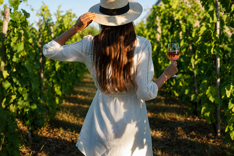 Etna + Wine Tasting Experience in a Winery and Lunch included Etna + Wine Tasting Experience in a Winery with Lunch included