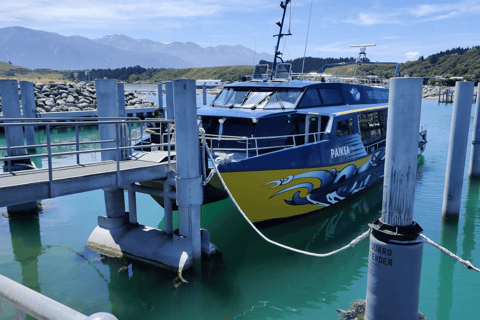 Christchurch: Kaikoura Day Tour with Hotel Pickup