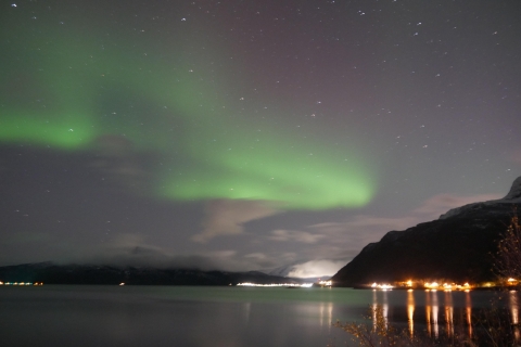 Harstad/Narvik/Tjeldsund: Northern Lights Sightseeing by Car