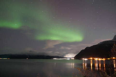 Harstad/Narvik/Tjeldsund: noorderlicht bezichtigen met de auto