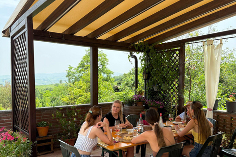 Spring Time Vineyards Milan’s Perfect Wine Tasting & Lunch