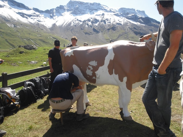 Visit The Alpine Olympics, 2000 Meters Above Sea Level in Lucerne