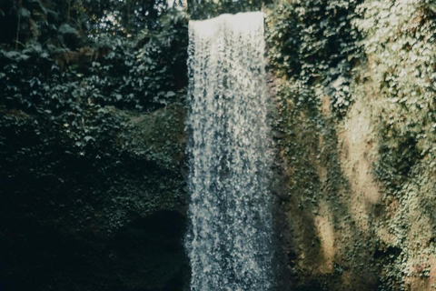 Private Ubud Tour Reisterrasse, Tempel und geheimer Wasserfall