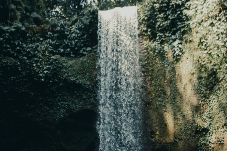 Visite privée d'ubud Terres de riz, temples et chutes d'eau secrètes