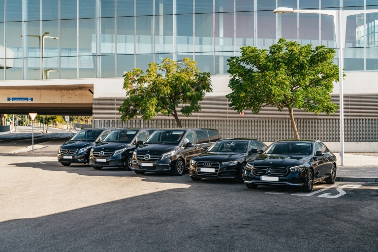 Seville: Private 1-Way Airport or Train Station Transfer Private Airport-to-Hotel Transfer