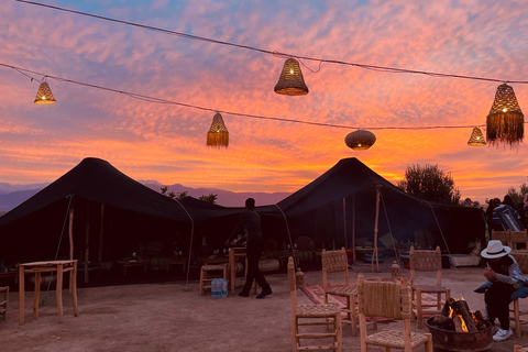 Marrakesch: Dinner-Show in der Wüste Agafay, Kamelritt und 1 Stunde BuggyfahrtMarrakech: Agafay Wüsten-Dinner-Show und Kamel-Ritt