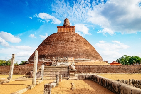 Van Negombo: Anuradhapura naar Wilpattu National Park 2-daagse