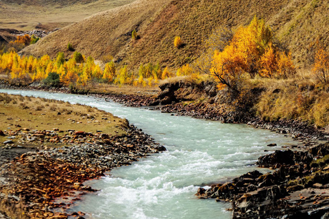 From Stepantsminda Kazbegi: TRUSO valley and ARSHA Waterfall