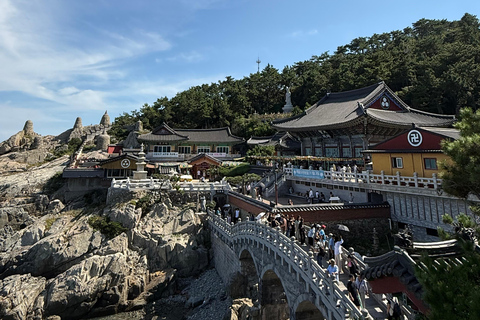 Busan: Highlights Tour with Zipline & Cable Car with Lunch