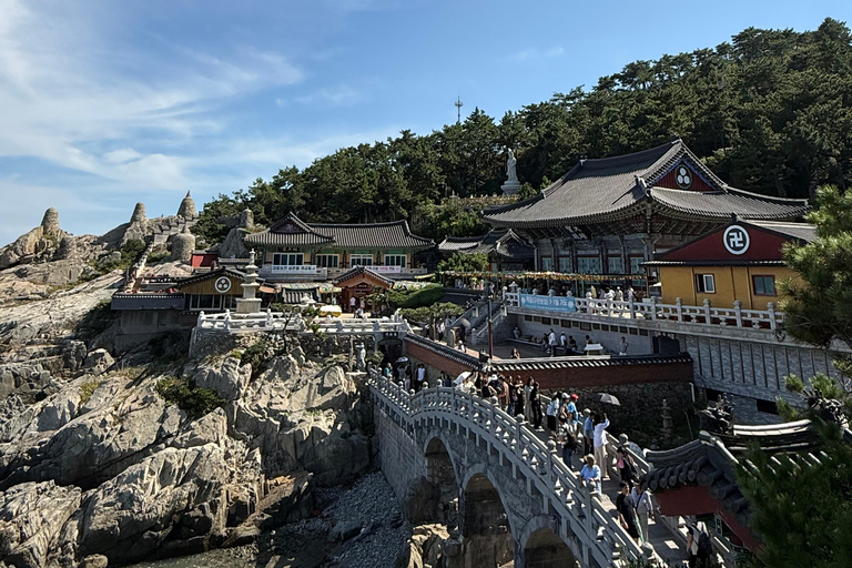Busan: Highlights Tour with Zipline & Cable Car with Lunch