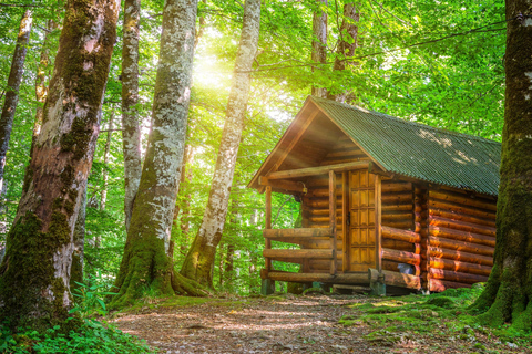 Kotor: Dagsutflykt och båtresa till Skadarsjön och BiogradFrom Herceg Novi