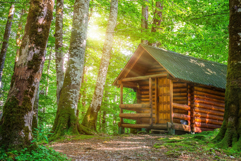 Kotor: Dagsutflykt och båtresa till Skadarsjön och BiogradFrom Herceg Novi