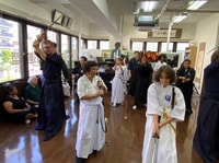 Kampfkunst, Samurai Erfahrung (Iaido) - Hizvo