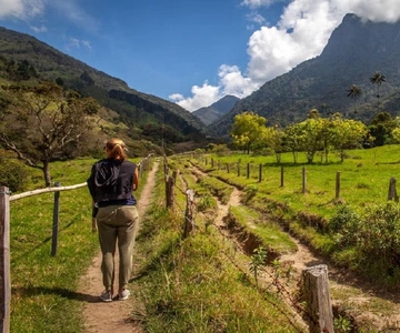 From Salento: Cocora Valley Hiking Tour with Lunch