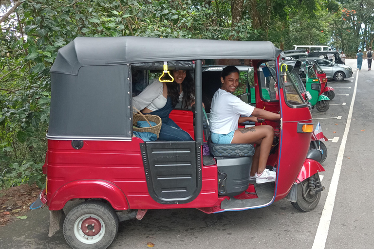 Kandy: Tuk Tuk City Tour with Local Driver