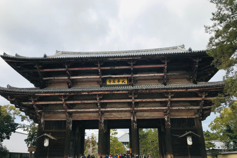 From Kobe: Nara Private Car Tour with Hotel Pickup