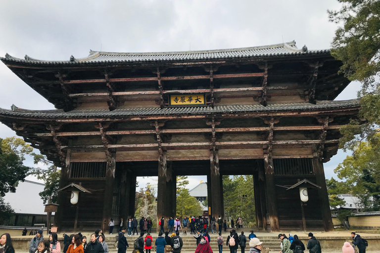 Desde Kobe: Excursión en coche privado a Nara con servicio de recogida del hotel