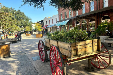 True South Lunch Food Tour