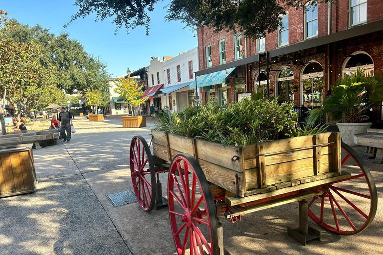 True South Lunch culinaire tour