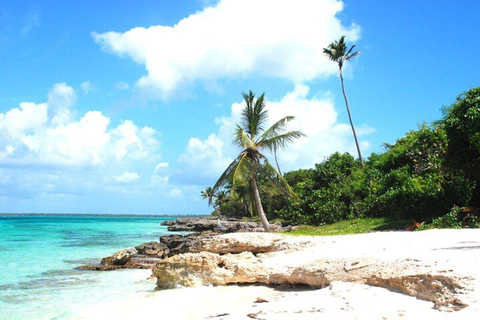 Private: Saona Island Hidden Gems Tour for Cruise Travelers