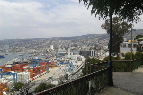 Viña del Mar + Valparaíso + 2 vingårdar ººº Privat tur