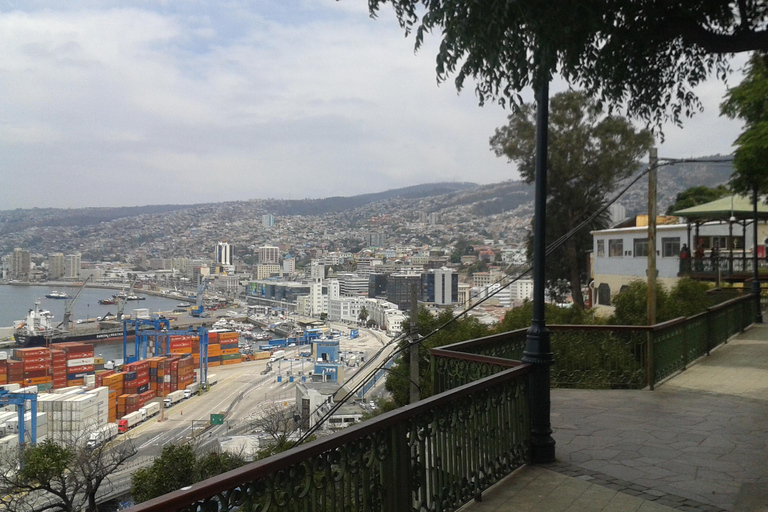 Viña del Mar + Valparaíso + 2 vingårdar ººº Privat tur