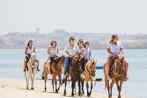 Horseback riding on the beach - PDTBeach horseback riding in group