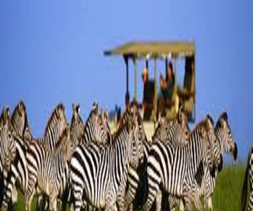 Safari perfetto di 2 giorni in Tanzania: Tour Tarangire e Ngorongoro