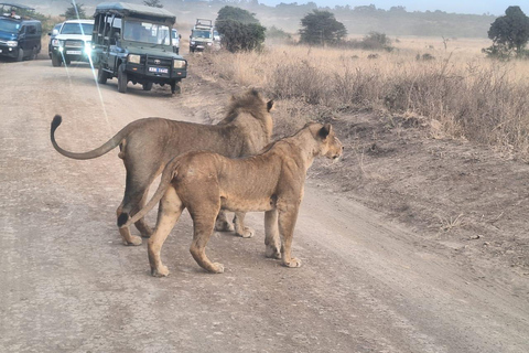 3 Days 2 Nights budget Maasai Mara group safari