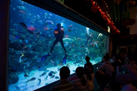 Kuala Lumpur: Bilet wstępu do Aquaria KLCCWejście w weekendy i święta dla osób spoza Malezji