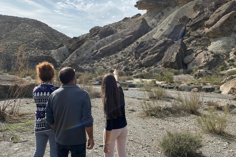 Desde Almería ou Tabernas: Descobre o deserto em 4x4De Tabernas