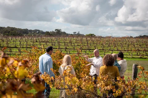 Excursión de un día entero a Margaret River para descubrir el vino, los productos locales y la naturaleza