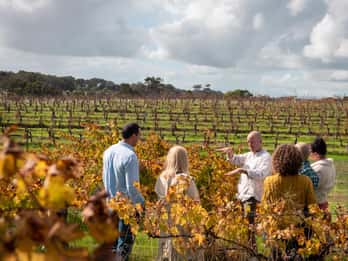 Margaret River Full-Day Wine, Local Produce & Nature Tour