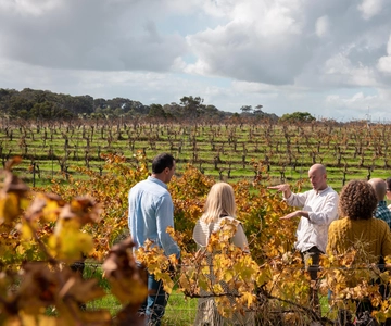 Margaret River Full-Day Wine, Local Produce & Nature Tour