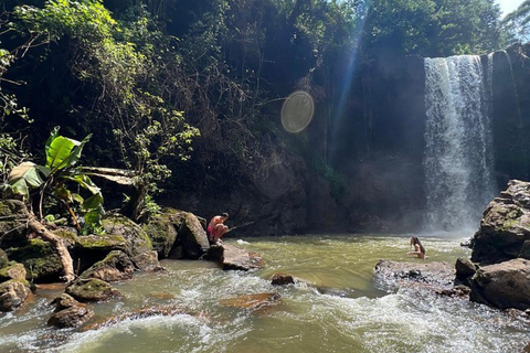 Nairobi: Purple Tea Farm Tour & Tasting Daytrip