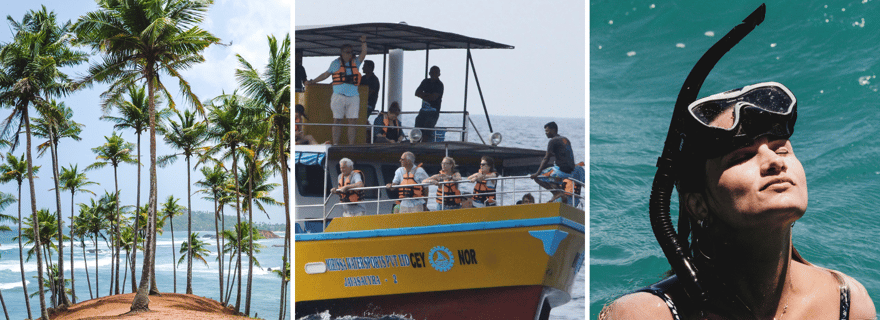 Mirissa : Observation des baleines, plongée en apnée et visite de la colline des noix de coco