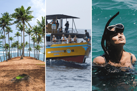 Mirissa: Valskådning, snorkling och rundtur på Coconut Hill