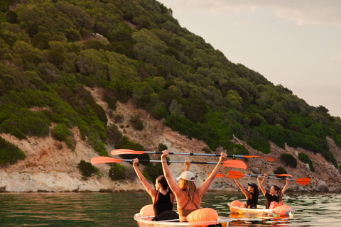 Golfo Aranci: transparent or traditional kayak, dolphins, and aperitif Sunset Tour in a Traditional Kayak with Aperitivo and Dolphins