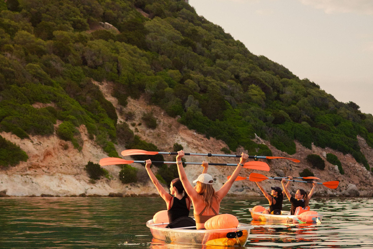 Golfo Aranci: transparent or traditional kayak, dolphins, and aperitif Sunset Tour in a Traditional Kayak with Aperitivo and Dolphins