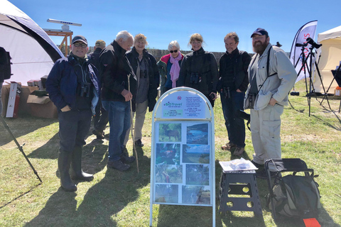 Maj 2025 Danmark: Fågelskådningstur med Skagen Fuglefestival