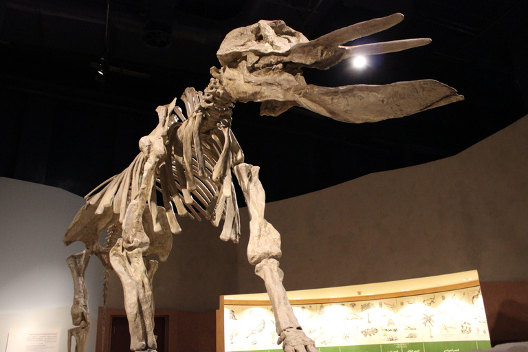 Souk Al Zal, The National Museum, and Murabba Palace Tour