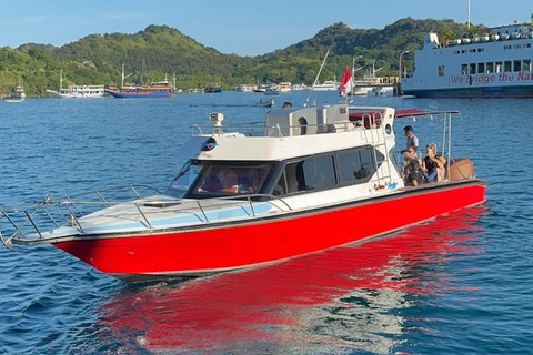 Labuan Bajo: Komodo Islands Full-Day Speedboat Tour