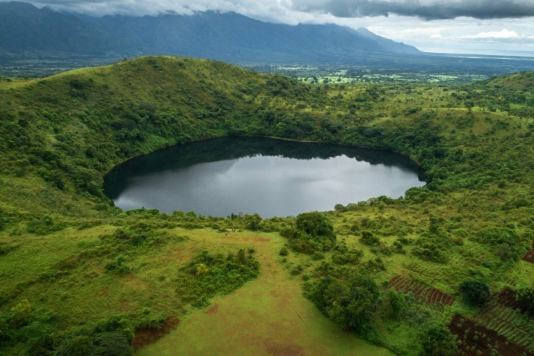 Parc national des volcans : journée de randonnée à Bisoke