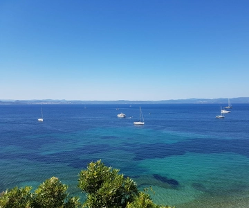 Excursion to Porquerolles Island from Bandol