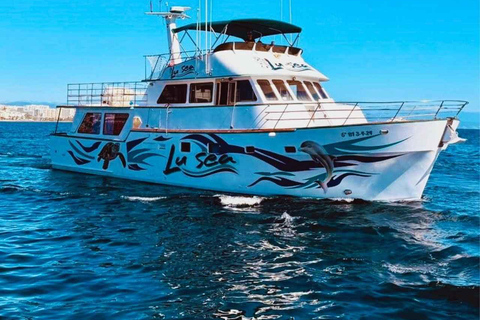 Boat Adventure: XXL Slides, Snorkeling, Activities, Lunch, and Pickup Boat Adventure: XXL Slides, Snorkeling, Activities, Lunch, and Pick-Up