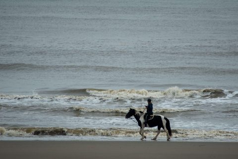 Saint John: Coastal Countryside Horseback Adventure