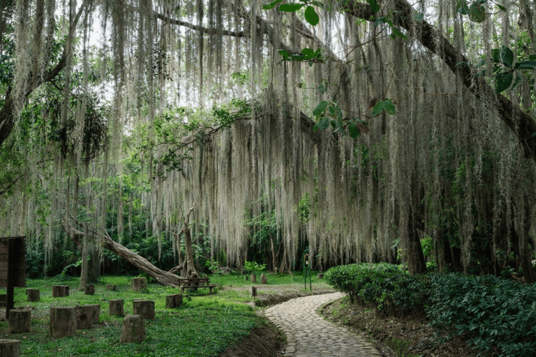 Bucaramanga: Barichara, Curití, & San Gil Day Trip