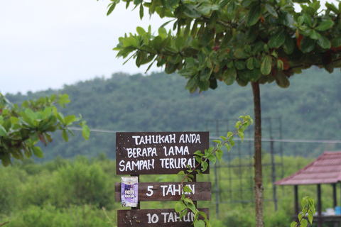 Bagek Kembar: Mangrove & Stingless Beekeeping Experience
