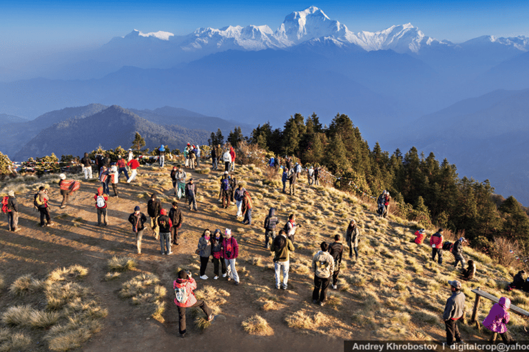 Curto e cênico: 3 dias de aventura no Ghorepani Poon Hill Trek